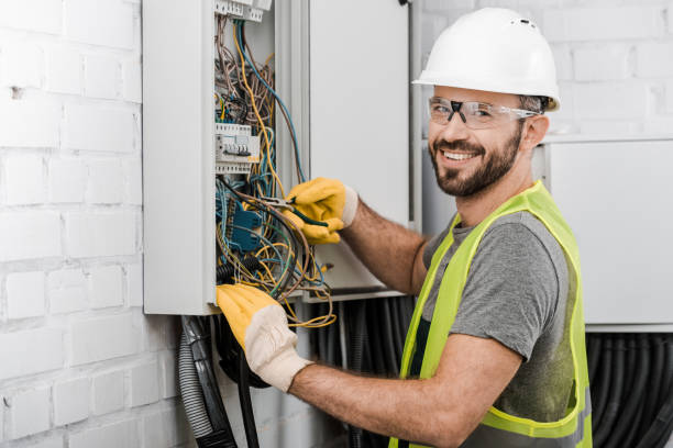 Best Electrical Rewiring Services  in Rockwood, MI