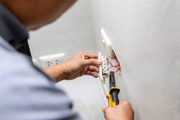 Best Affordable Electrician  in Rockwood, MI