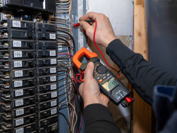 Best Generator Installation Services  in Rockwood, MI